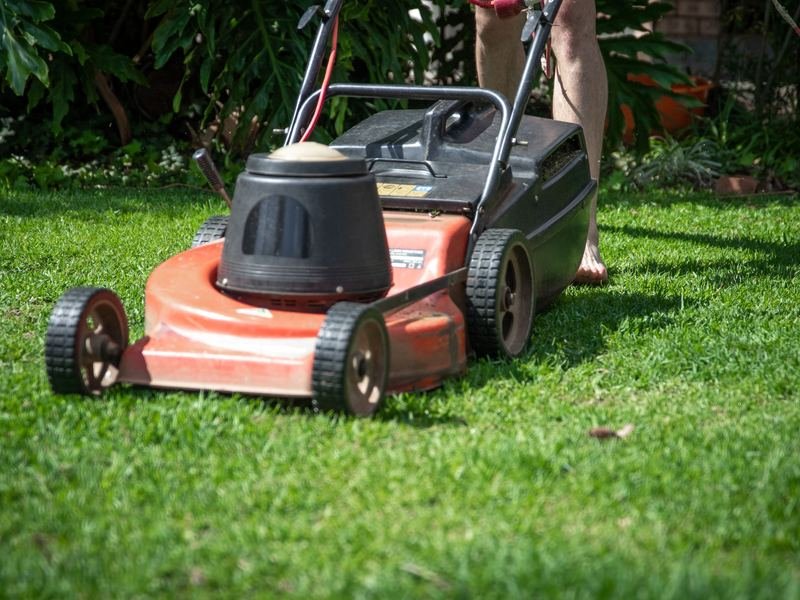 Lawn mower cutting sunlit green grass
